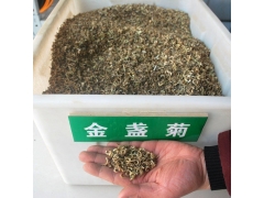 金盞花種子